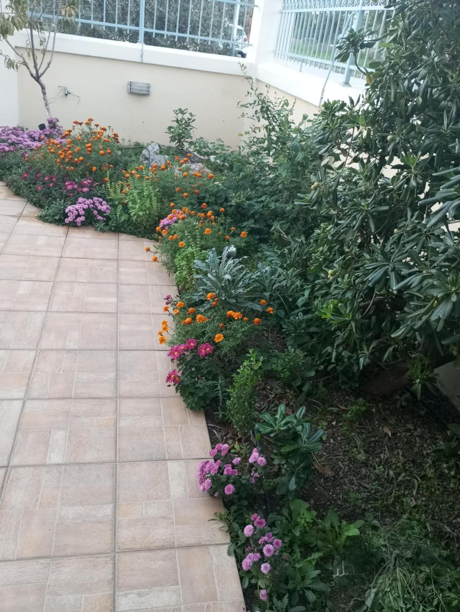Dora'S Home With Garden Volos Exterior photo